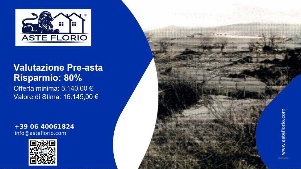 immagine annuncio 1 di 12