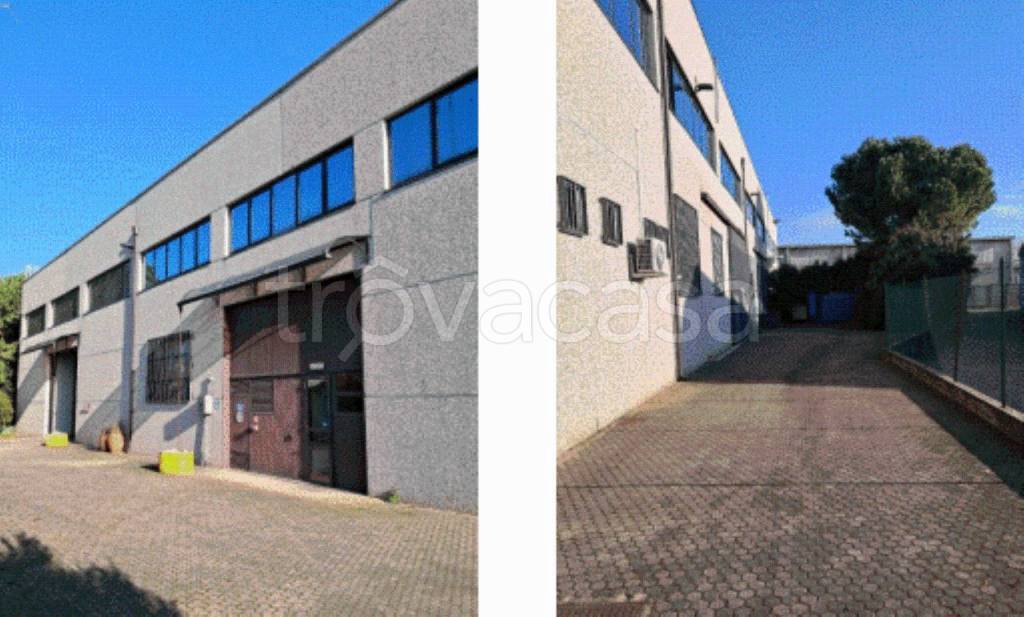 immagine annuncio 3 di 15