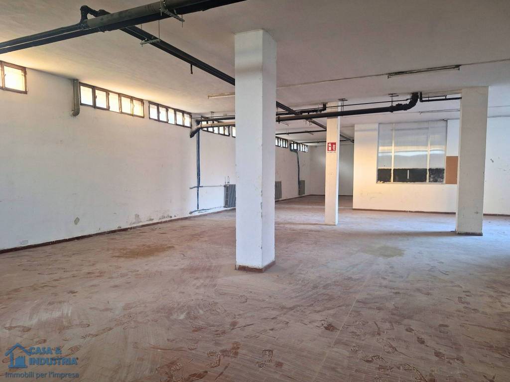 immagine annuncio 8 di 14