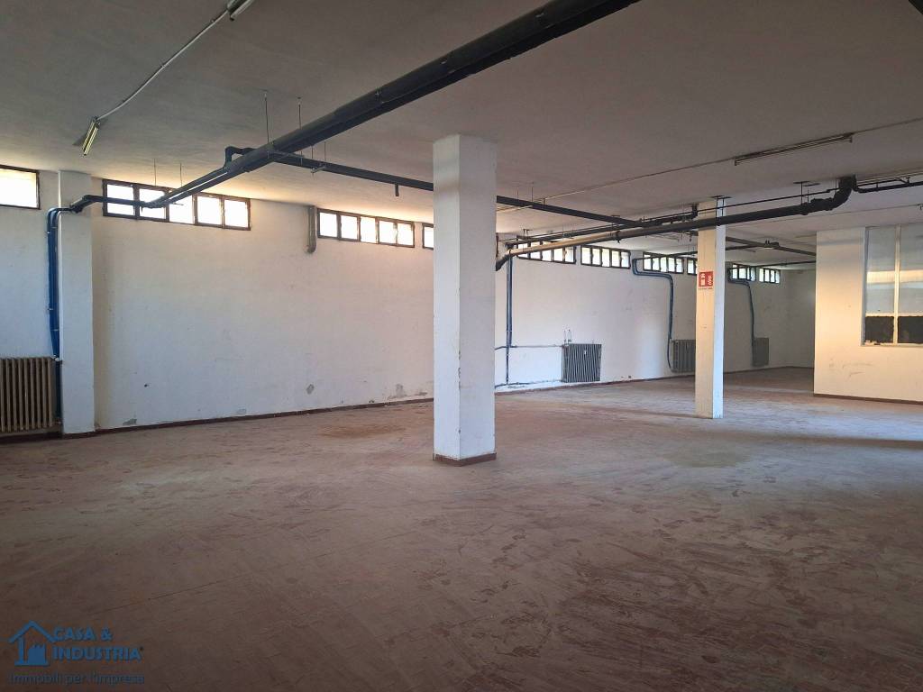 immagine annuncio 4 di 14