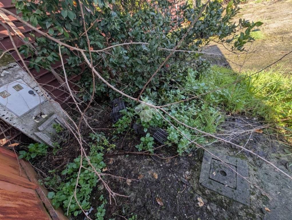 immagine annuncio 7 di 13