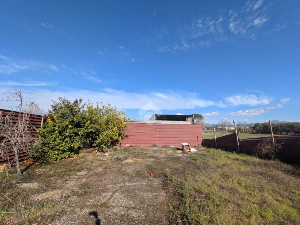 immagine annuncio 8 di 13