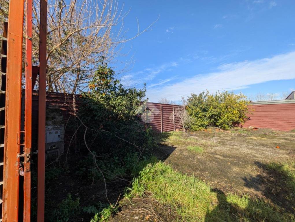 immagine annuncio 9 di 13