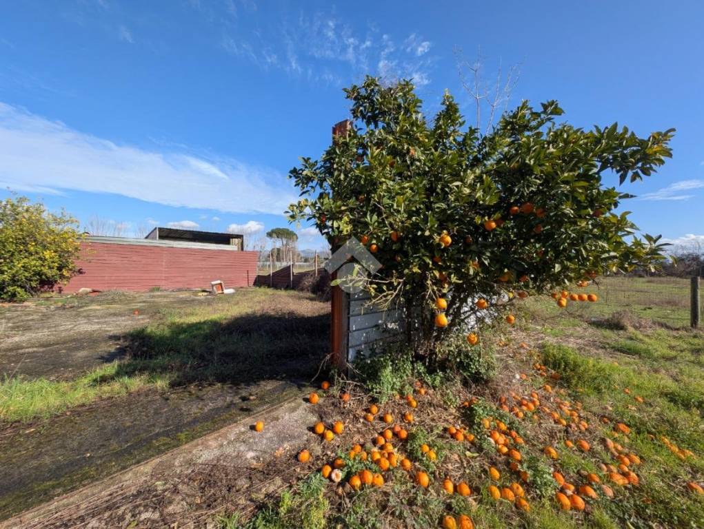 immagine annuncio 10 di 13