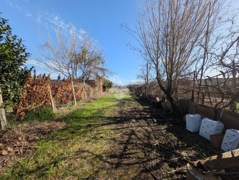 immagine annuncio 12 di 13