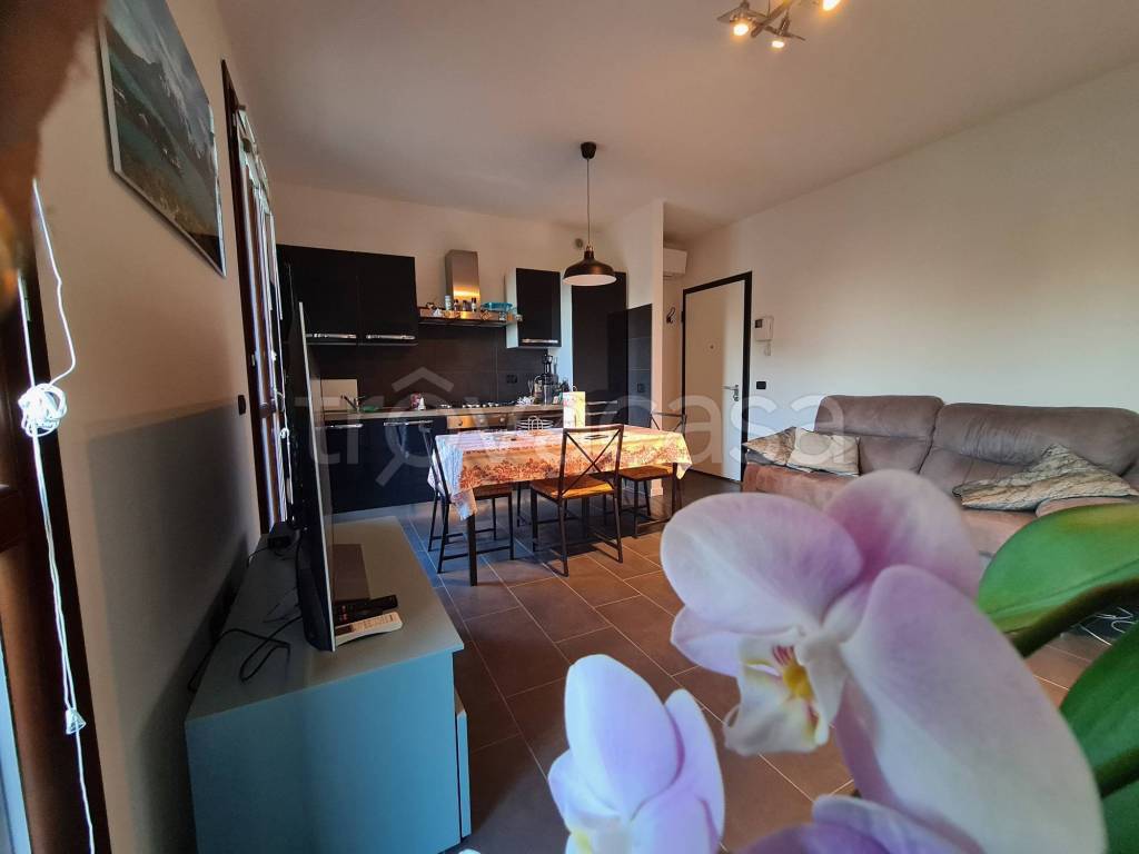 immagine annuncio 1 di 8