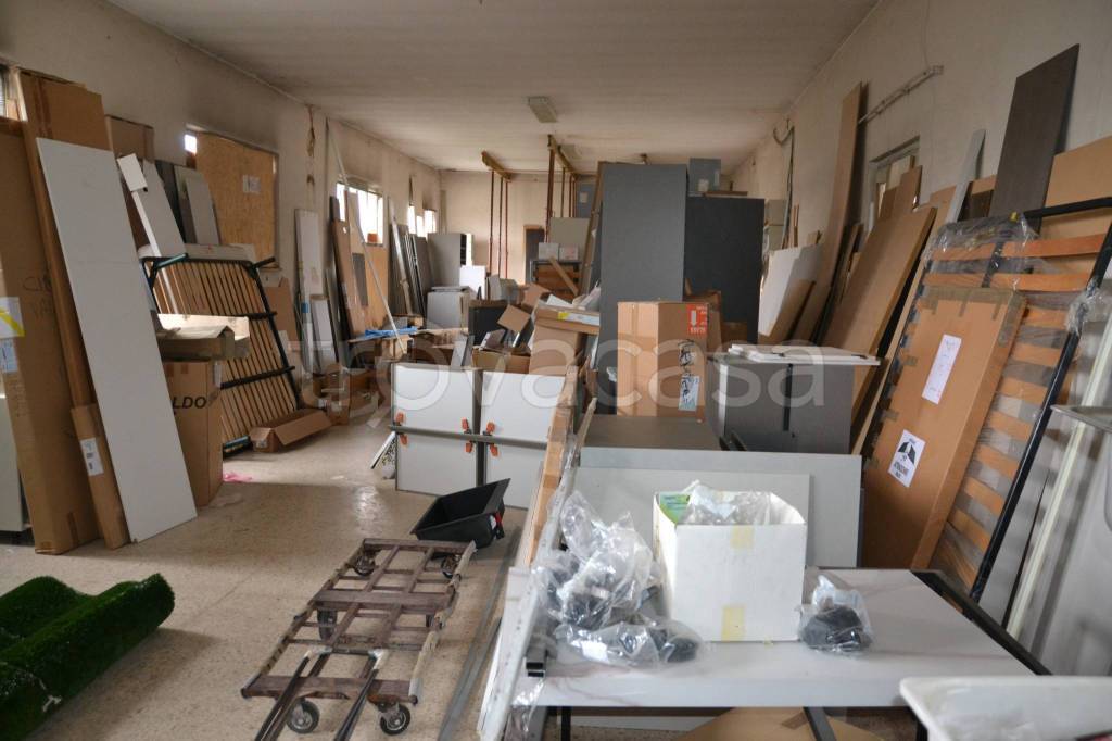 immagine annuncio 6 di 9