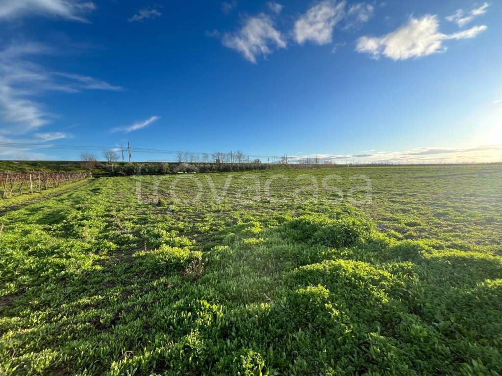 immagine annuncio 4 di 8