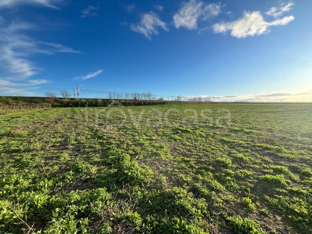 immagine annuncio 5 di 8