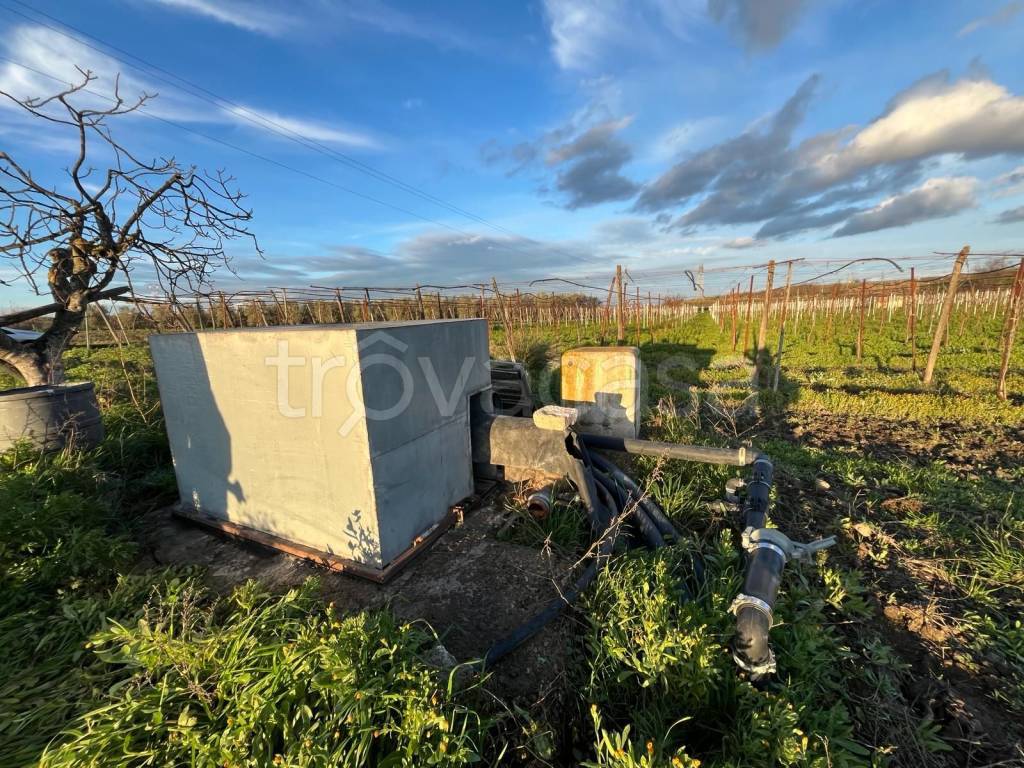 immagine annuncio 7 di 8