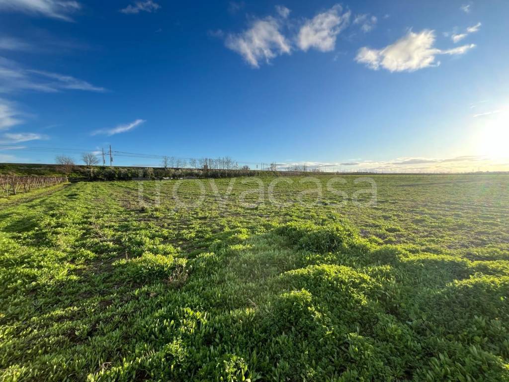 immagine annuncio 6 di 8