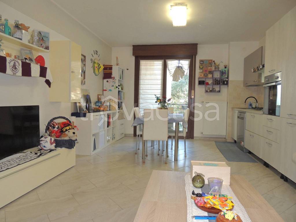 immagine annuncio 1 di 11