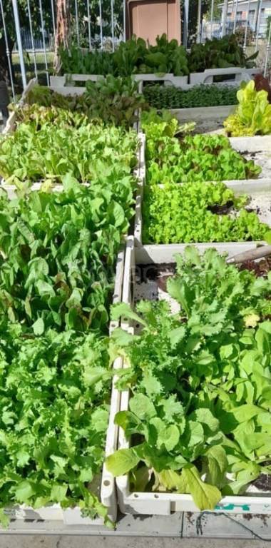 immagine annuncio 2 di 9