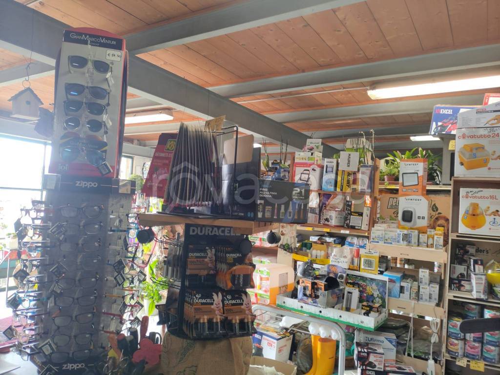 immagine annuncio 5 di 9