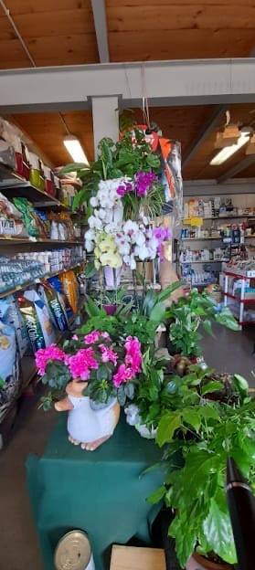 immagine annuncio 6 di 9