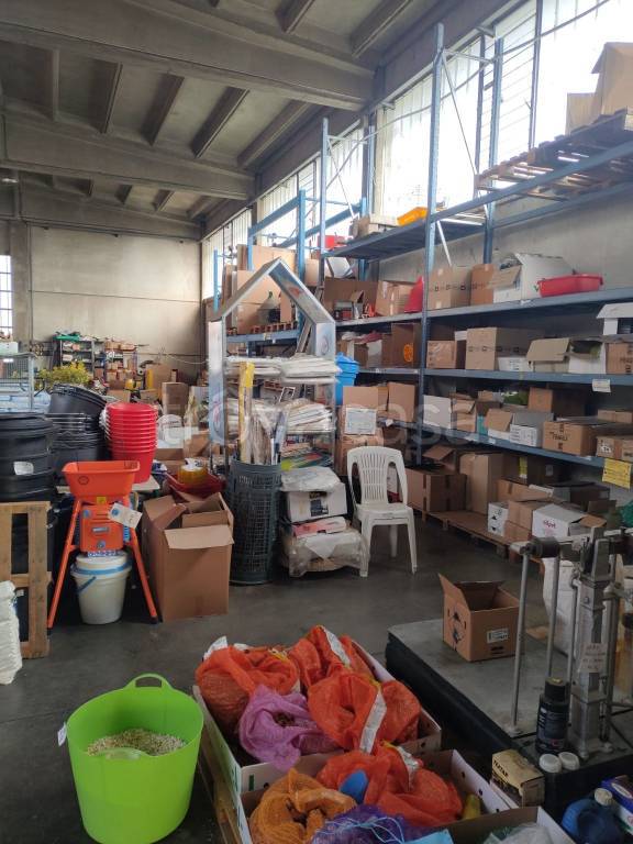 immagine annuncio 1 di 9