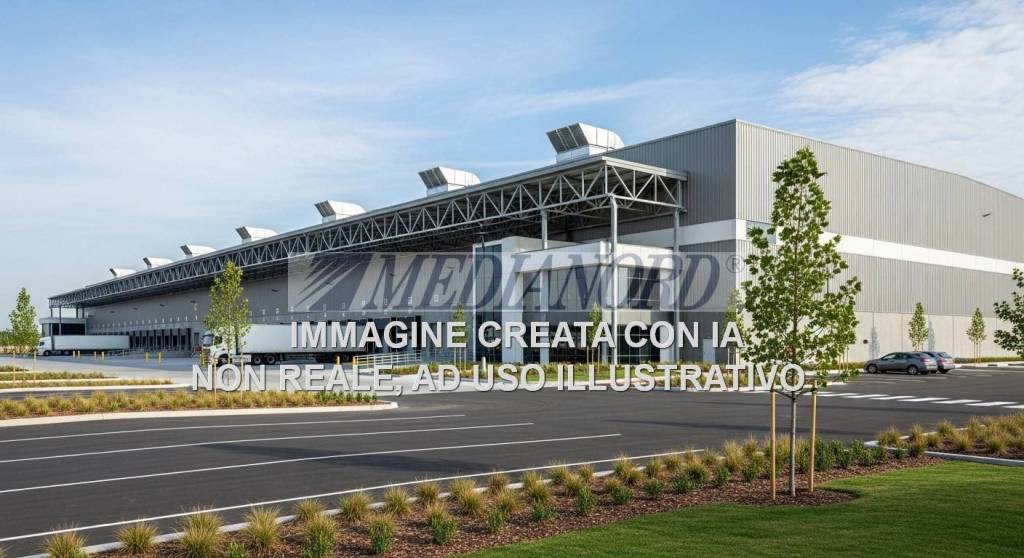 immagine annuncio 2 di 12