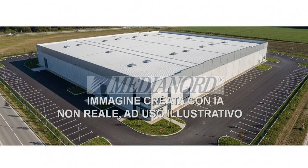 immagine annuncio 9 di 12