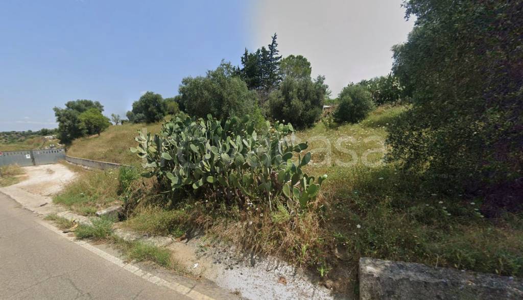 immagine annuncio 4 di 12