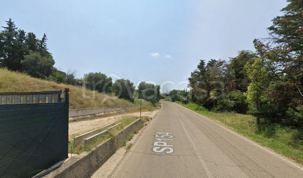 immagine annuncio 10 di 12