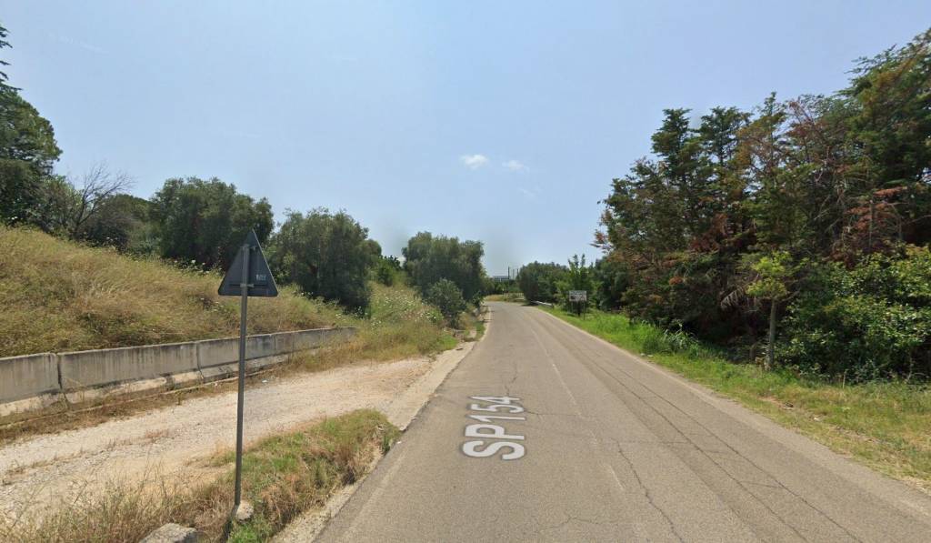 immagine annuncio 11 di 12