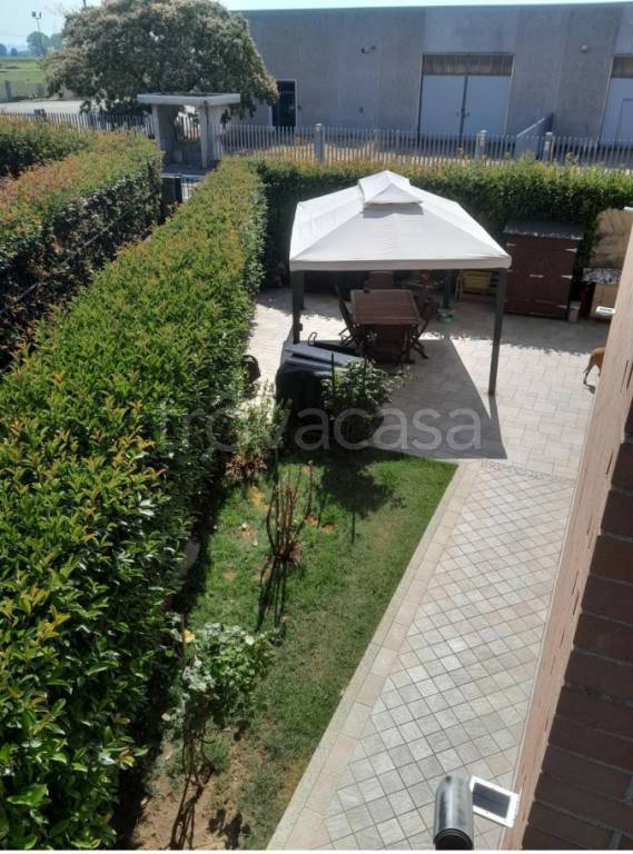 immagine annuncio 7 di 15