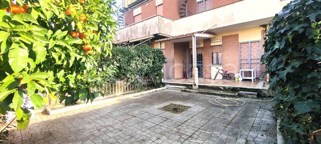 immagine annuncio 13 di 15