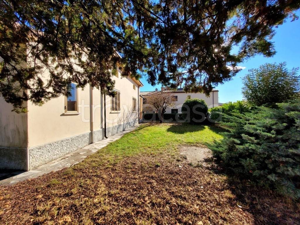 immagine annuncio 4 di 12