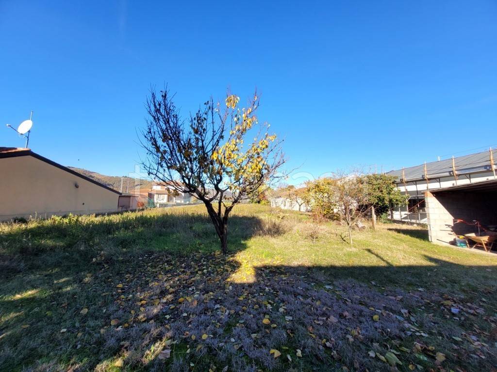 immagine annuncio 5 di 12