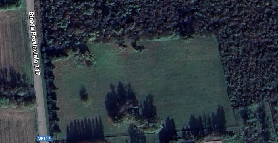 immagine annuncio 2 di 6