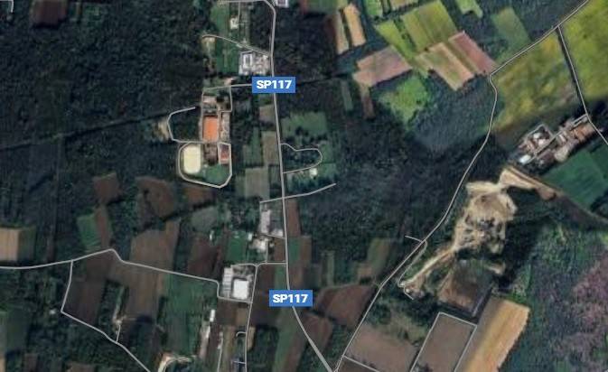 immagine annuncio 3 di 6