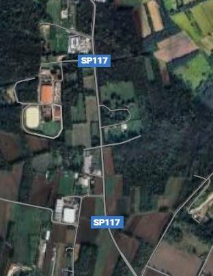 immagine annuncio 5 di 6