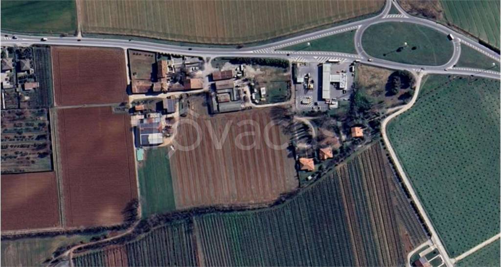 immagine annuncio 9 di 14