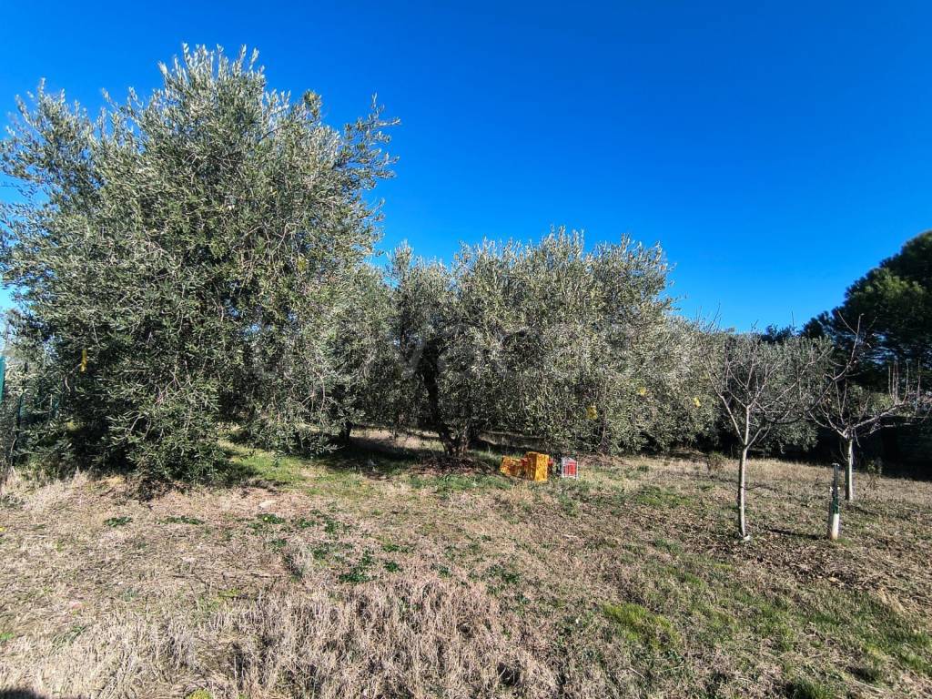 immagine annuncio 5 di 10