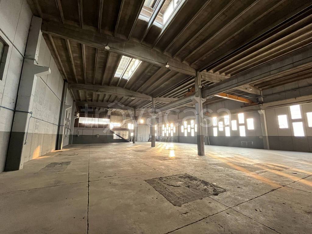 immagine annuncio 5 di 14