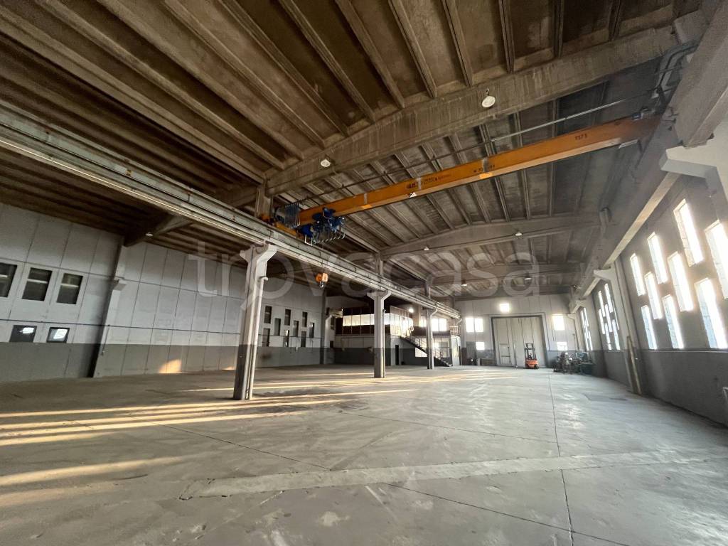 immagine annuncio 4 di 14