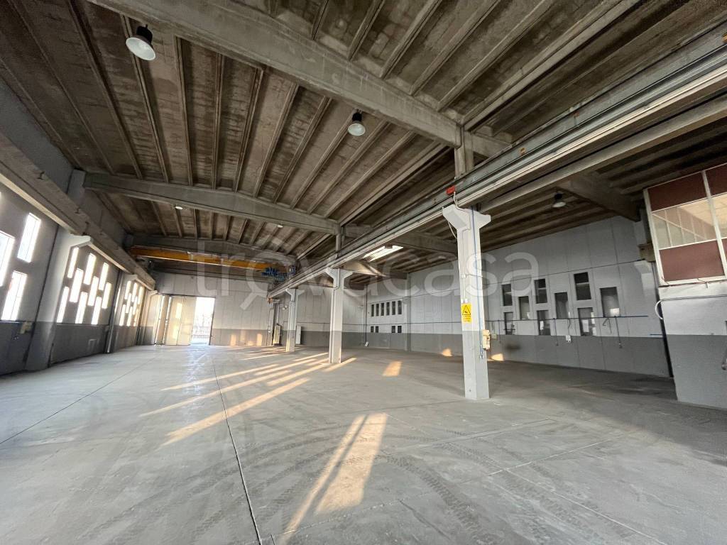 immagine annuncio 5 di 14