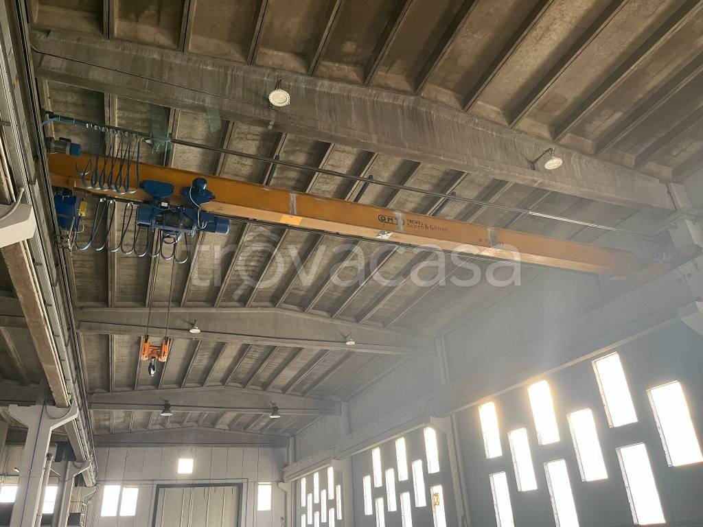 immagine annuncio 13 di 14