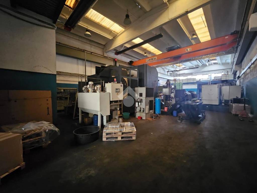 immagine annuncio 4 di 15