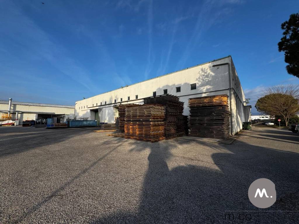 immagine annuncio 1 di 13