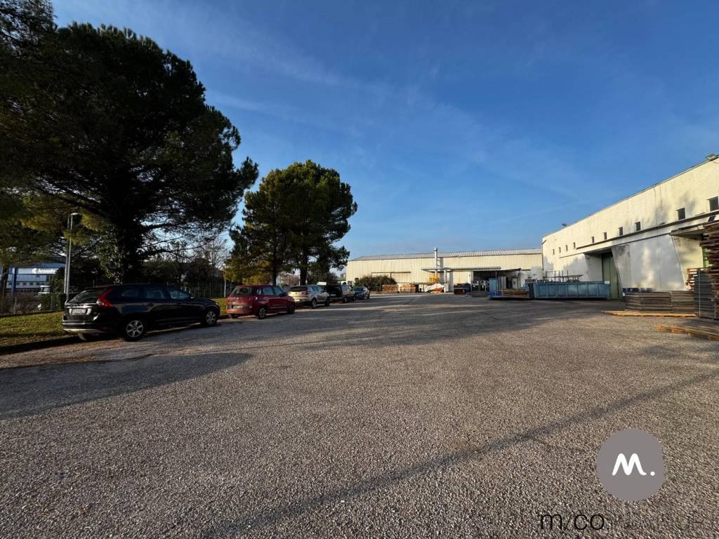 immagine annuncio 9 di 13