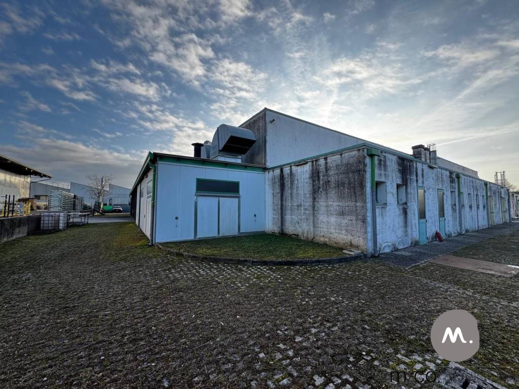 immagine annuncio 12 di 13