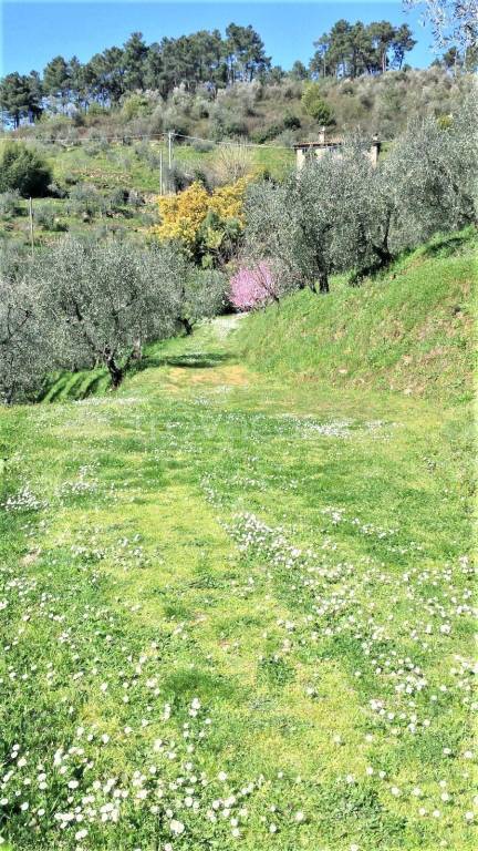 immagine annuncio 1 di 3