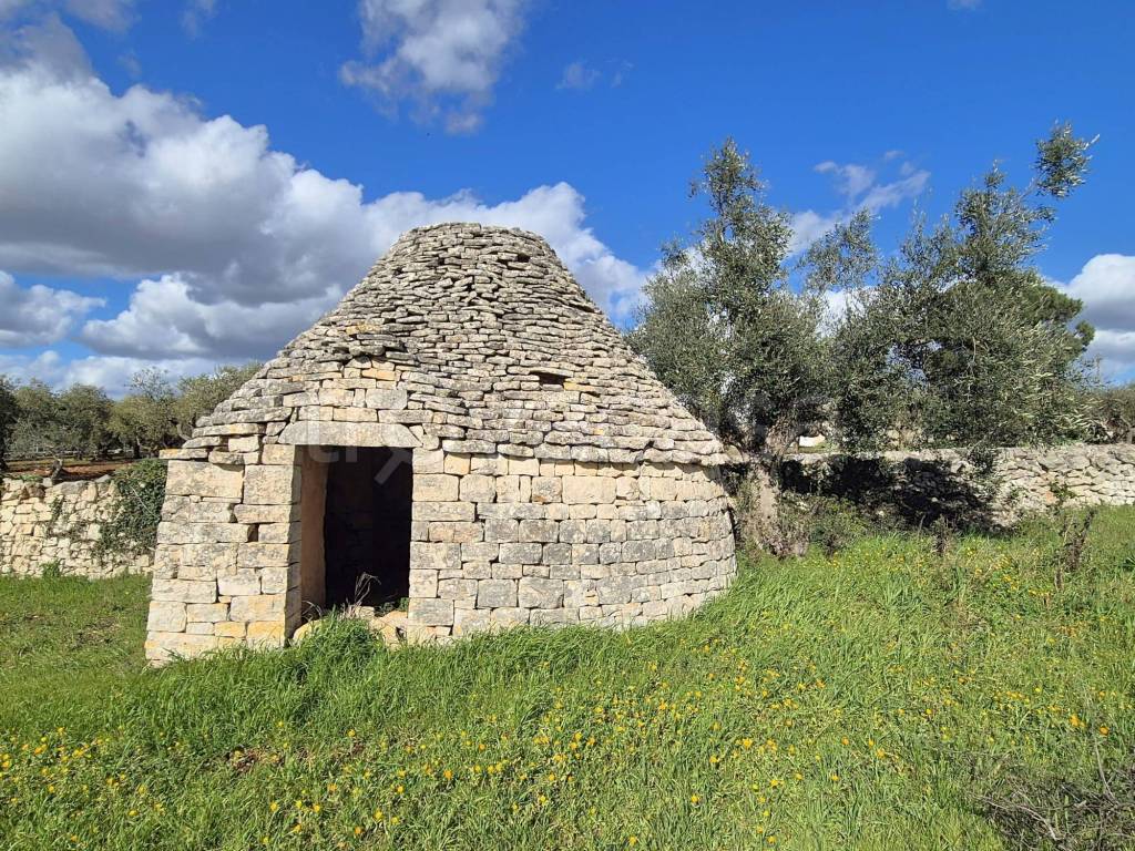 immagine annuncio 1 di 9