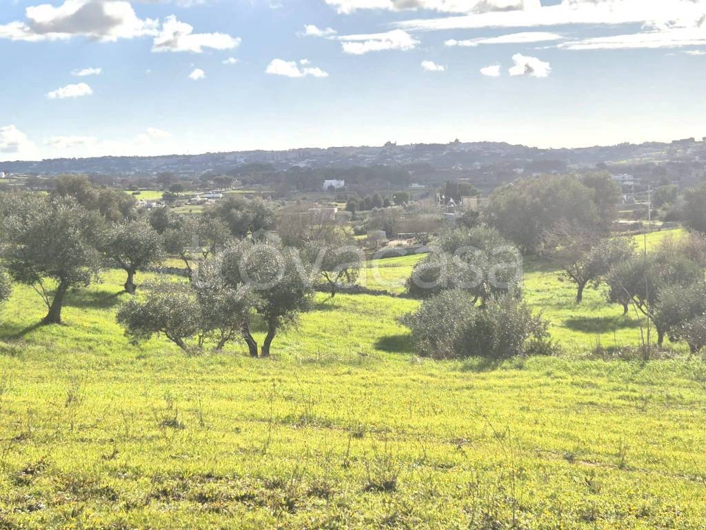 immagine annuncio 4 di 9