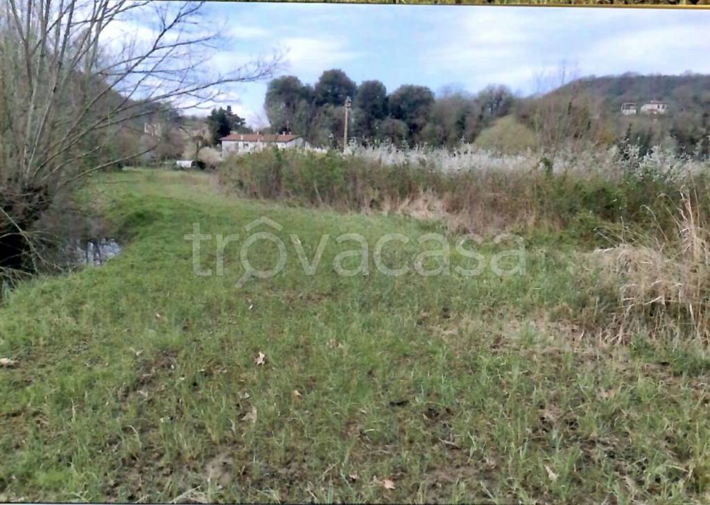 immagine annuncio 5 di 11