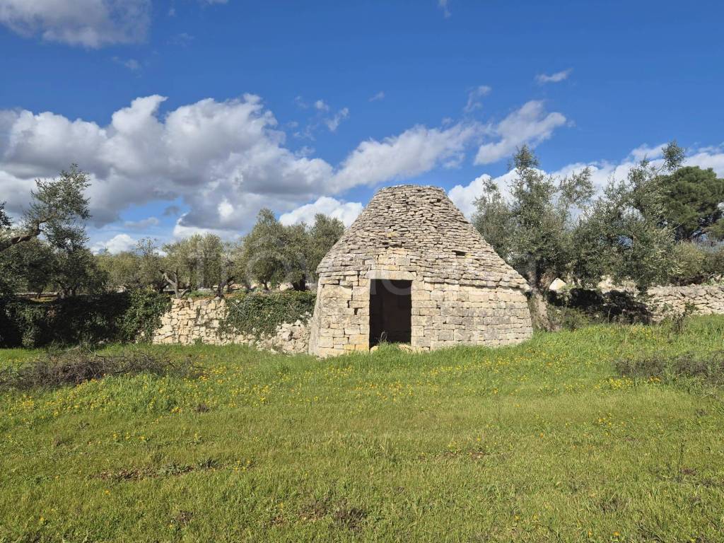 immagine annuncio 5 di 9