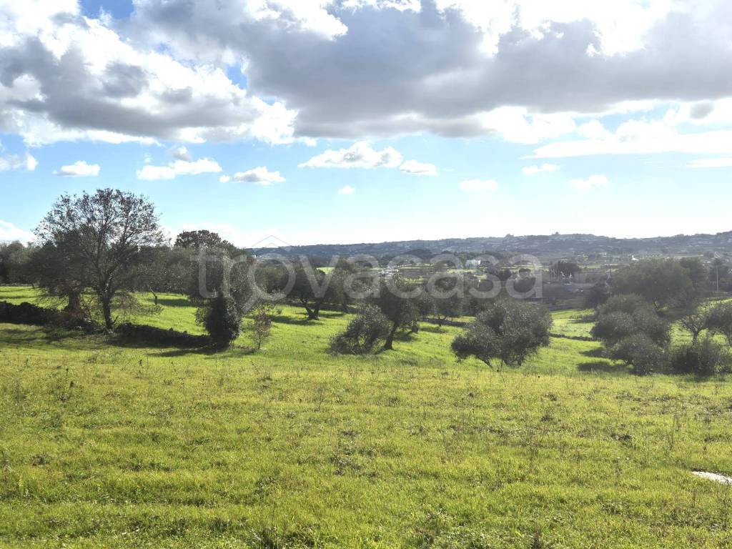 immagine annuncio 8 di 9