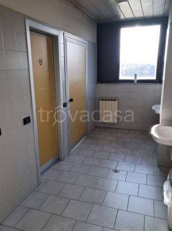 immagine annuncio 8 di 12