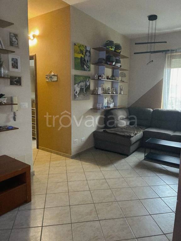 immagine annuncio 8 di 13